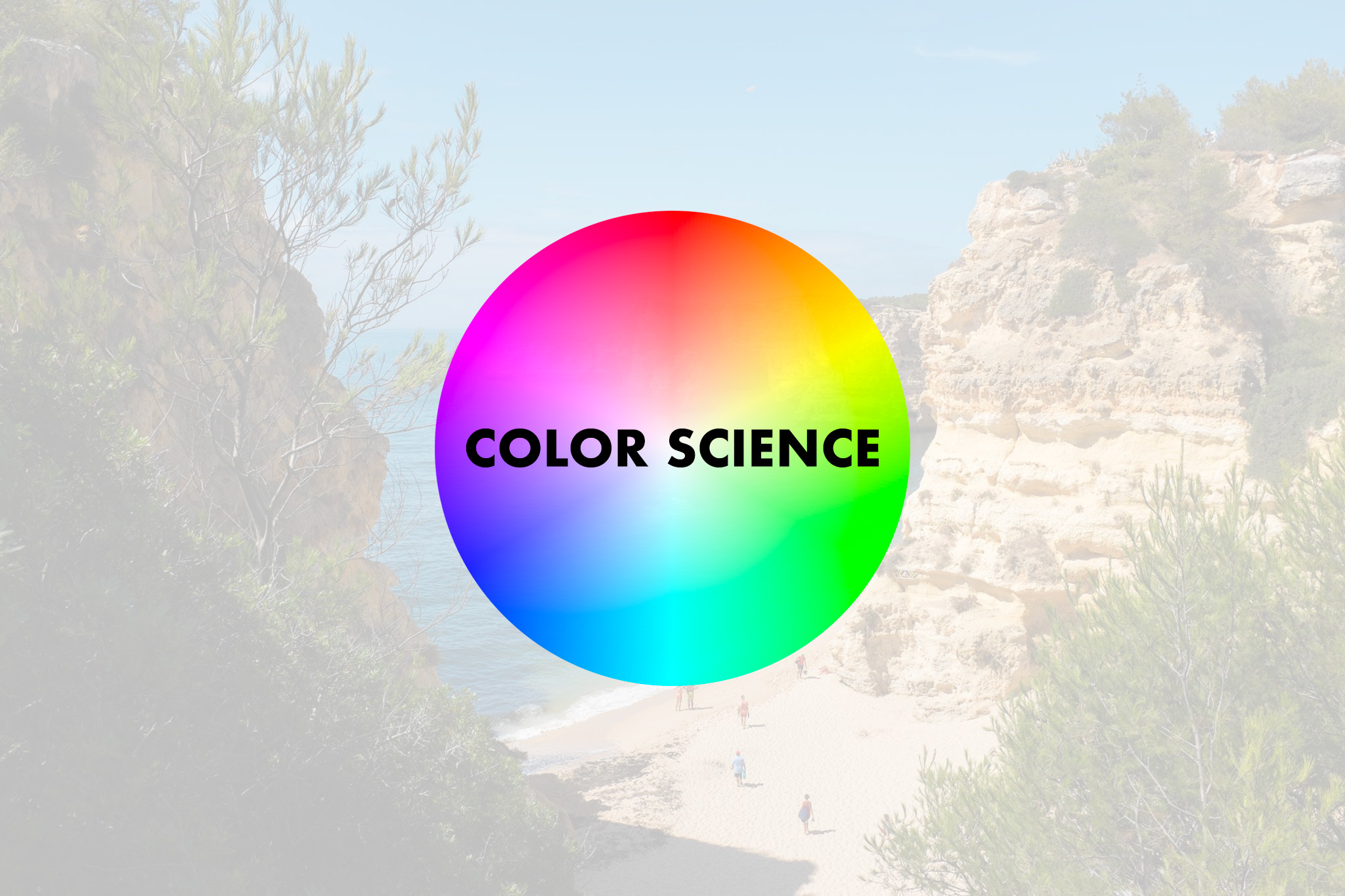 The Best Color Science between camera brands DUDE OI